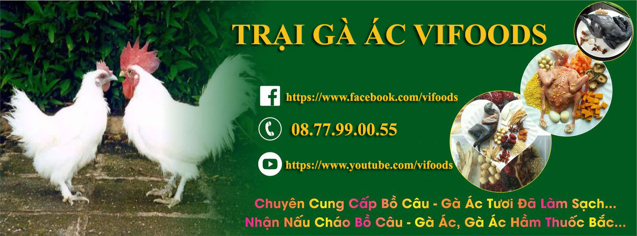 TRẠI GÀ ÁC